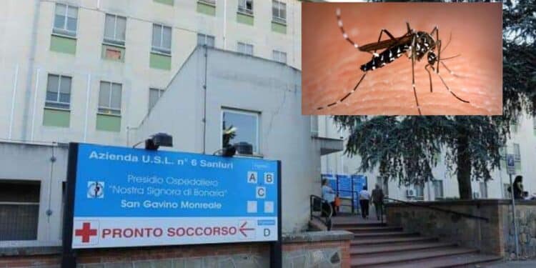 San Gavino Monreale, deceduto anche il secondo paziente positivo alla West Nile