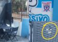 Monastir, grave episodio all’interno dell’impianto sportivo: un grosso petardo esploso davanti al bar appena sistemato