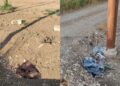 Medio Campidano, rifiuti gettati a bordo strada e nelle proprietà private