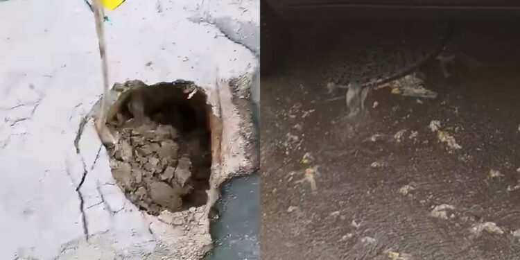 Assemini, poche gocce mandano in tilt fogne e strade: via Marconi sommersa da reflui e carta igienica