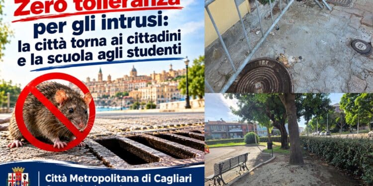 Emergenza roditori a Cagliari: la Città Metropolitana avvia un piano straordinario di derattizzazione integrata