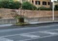 Cagliari, il Comune chiede ad Abbanoa una rapida riparazione dell’ingente perdita d’acqua su via Borgo Sant’Elia