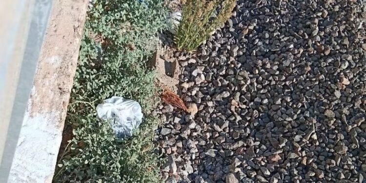A Serramanna è di nuovo orrore: animali uccisi, rinchiusi dentro una busta e gettati in mezzo ai binari
