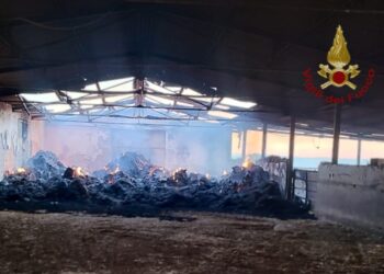 Guspini, incendio di fieno e paglia all’interno di due strutture di un’azienda agricola: danni ingenti