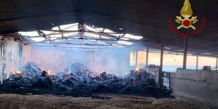 Guspini, incendio di fieno e paglia all’interno di due strutture di un’azienda agricola: danni ingenti