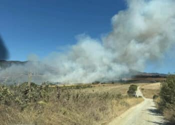 Incendio fra Sinnai e Maracalagonis, la Sindaca Fadda: “Grazie ai volontari sul campo”
