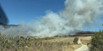 Incendio fra Sinnai e Maracalagonis, la Sindaca Fadda: “Grazie ai volontari sul campo”
