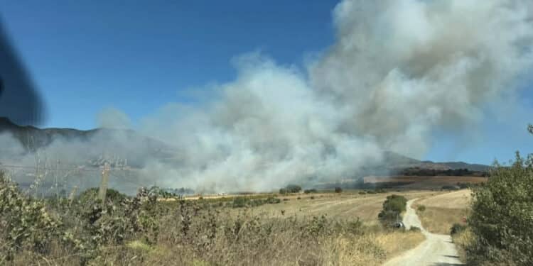 Incendio fra Sinnai e Maracalagonis, la Sindaca Fadda: “Grazie ai volontari sul campo”