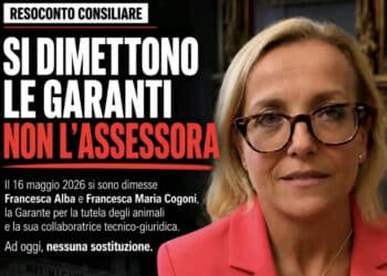Cagliari, le garanti degli animali si dimettono: «Così non si poteva lavorare». Farris: «È tutto fermo, 60 Mila euro ancora liberi»