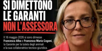 Cagliari, le garanti degli animali si dimettono: «Così non si poteva lavorare». Farris: «È tutto fermo, 60 Mila euro ancora liberi»