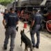 Stazione di Cagliari, blitz della Polizia: maxi controlli per 189 passeggeri, bagagli al setaccio