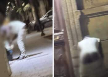 Cagliari, rovista tra i rifiuti con i pantaloni abbassati, residenti disperati:”Siamo alla frutta”