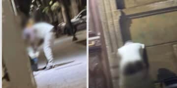 Cagliari, rovista tra i rifiuti con i pantaloni abbassati, residenti disperati:”Siamo alla frutta”