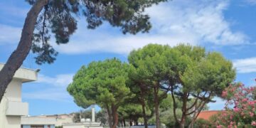 Quartu, rigenerazione del verde in tutta la città: “Deve diventare uno dei punti di forza”