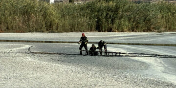 Quartu Sant’Elena, cercano i fenicotteri ma rimangono intrappolate nel fango: soccorso straordinario dei vigili del fuoco