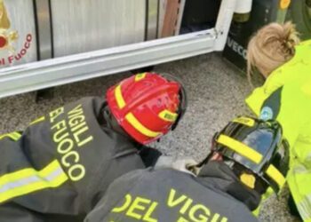 Investita da un camion della spazzatura: 42enne muore davanti alla figlia di 9 anni
