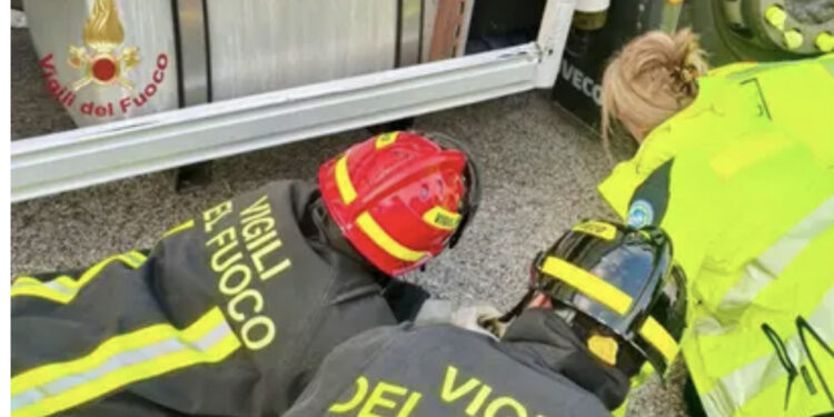 Investita da un camion della spazzatura: 42enne muore davanti alla figlia di 9 anni