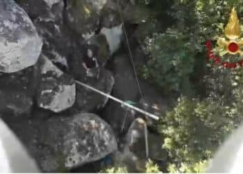 Burgos, mucca incastrata in un dirupo salvata dai vigili del fuoco (VIDEO)