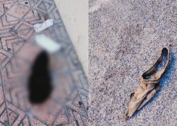 Cagliari: defeca in via Roma alla fermata del 9 davanti a tutti, poi abbandona le mutande e sale sul bus