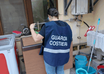 Celle frigorifere e pesce non tracciato, sanzioni per 21 mila euro e sequestri per 2 quintali tra Cagliari e Iglesias