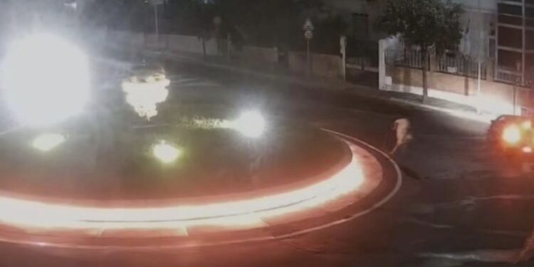 Monserrato, rubate tre sfere di Murano dal grappolo d’uva installato nella rotatoria di via San Fulgenzio