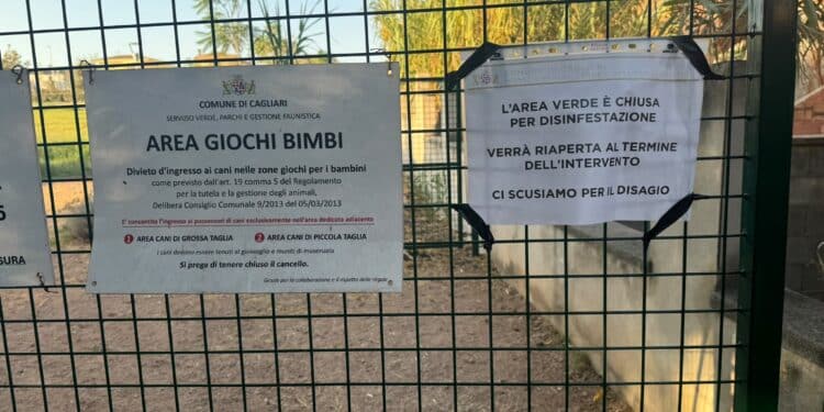 Cagliari, a Baracca Manna area verde chiusa da settimane per le vespe: zero certezze sulla riapertura