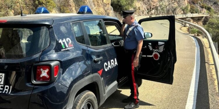 Blitz contro lavoro nero e caporalato, è di Teulada l’azienda multata con 15mila euro