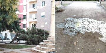 Cagliari, degrado a piazza San Saturnino: l’albero caduto da oltre un anno, panchine danneggiate e buio di notte