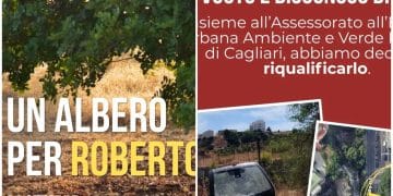 Cagliari, un giardino e un albero per ricordare Roberto Loddo: sabato la giornata dedicata all’amico scomparso