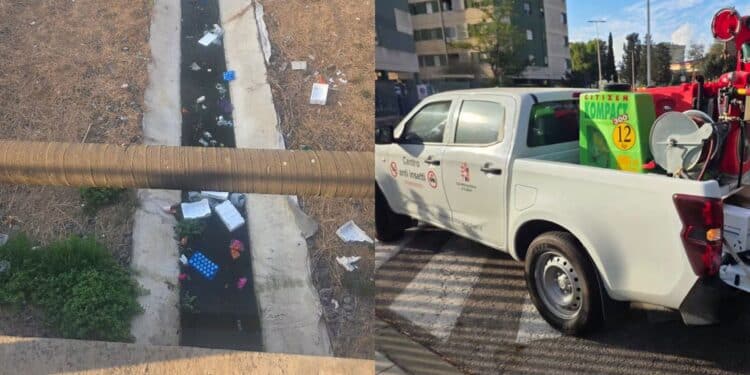Comuni invasi dai topi, partito il piano di derattizzazione nella Città Metropolitana