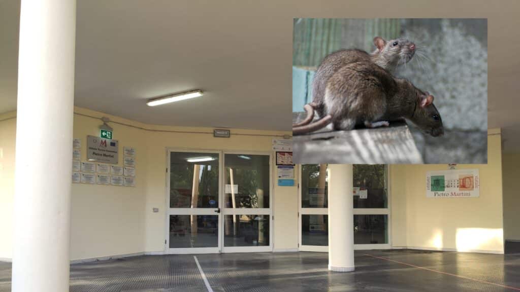 Students Protest Rat Infestation and Unsafe Conditions at School