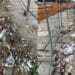 Cagliari, piazza Matteotti nel degrado: cumuli di rifiuti depositati da tempo a bordo strada