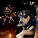 Cagliari, botti assordanti nella notte: a rischio animali e ambiente, “Situazione insostenibile”
