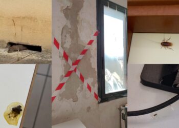 Cagliari, immagini shock dallo Scano: escrementi di topo sui banchi, la danza di blatte e roditori (VIDEO)