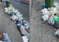 Cagliari, emergenza senza fine in viale La Playa: cumuli di immondizia sul marciapede attirano topi e blatte