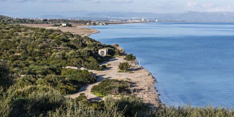 Storica sentenza per Sant’Antioco (e per la Sardegna): “usi civici”, vittoria dei cittadini e del Comune sulla Regione