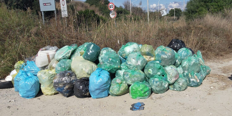 Sporcizia tra Molentargius e Terramaini: quaranta sacchi di rifiuti raccolti in una mattina