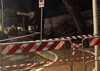 Decimomannu, crolla un grosso ramo sulla pista ciclabile