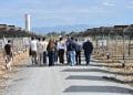 Energia, da Serramanna la proposta di un Fondo regionale per i Comuni produttori