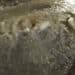 Cagliari, enorme falla d’acqua in Via Lai: “Non viene nessuno” (VIDEO)