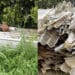 Quartu, il Comune contro gli abbandoni di rifiuti speciali: via al progetto per la manutenzione straordinaria delle aree da bonificare