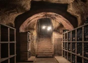 Furto da record alla Marchesi Antinori: rubate 30 mila bottiglie, bottino da 5 milioni di euro