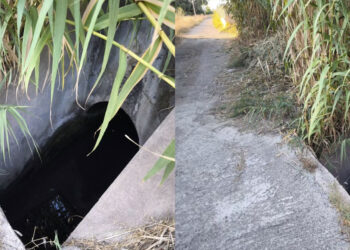 Elmas, un pozzo accanto alla strada e in parte nascosto dalla vegetazione preoccupa i cittadini: “Terrificante”