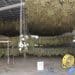 Ottana, 3 lavoratori segregati in un capannone in campagna per lavorare tonnellate di marijuana: 5 denunce