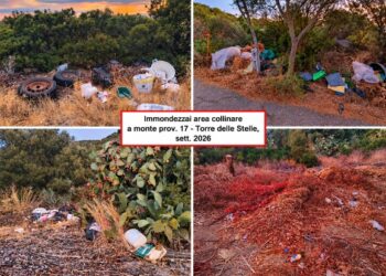 Discariche e rifiuti nelle campagne di Torre delle Stelle, gli ecologisti chiedono la bonifica ambientale