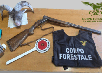 Controlli antibracconaggio a Gairo e Tertenia: accertata attività venatoria illecita in orario notturno, sequestrato un fucile