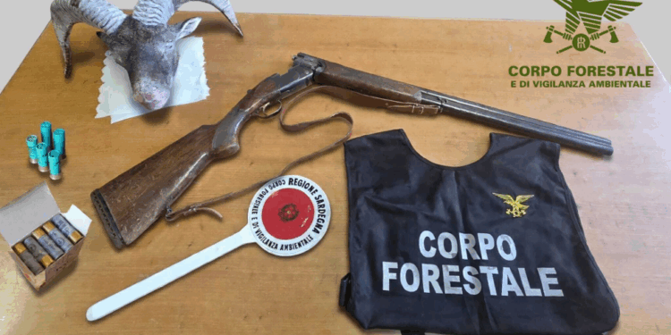 Controlli antibracconaggio a Gairo e Tertenia: accertata attività venatoria illecita in orario notturno, sequestrato un fucile