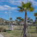 Cagliari, in arrivo sei milioni per il Parco degli Anelli a Sant’Elia con l’arena per gli spettacoli