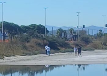 Quartu Sant’Elena, abusivi a spasso nelle saline:  in quattro si sono avventurati nella casa dei fenicotteri
