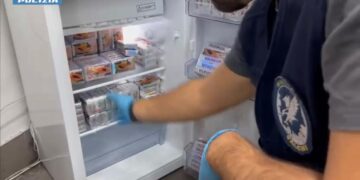 Cagliari, la papaya in freezer erano 20 chili di droga: arrestato un 54enne a Is Mirrionis